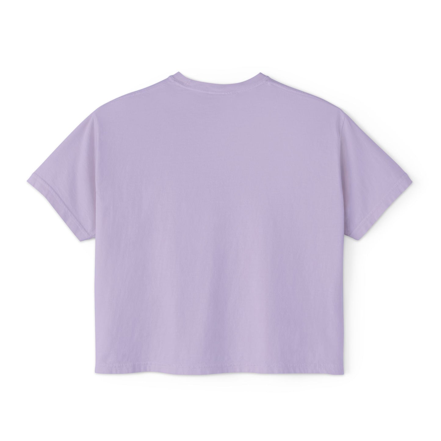 Philly Summit | Cropped Comfort Colors Tee