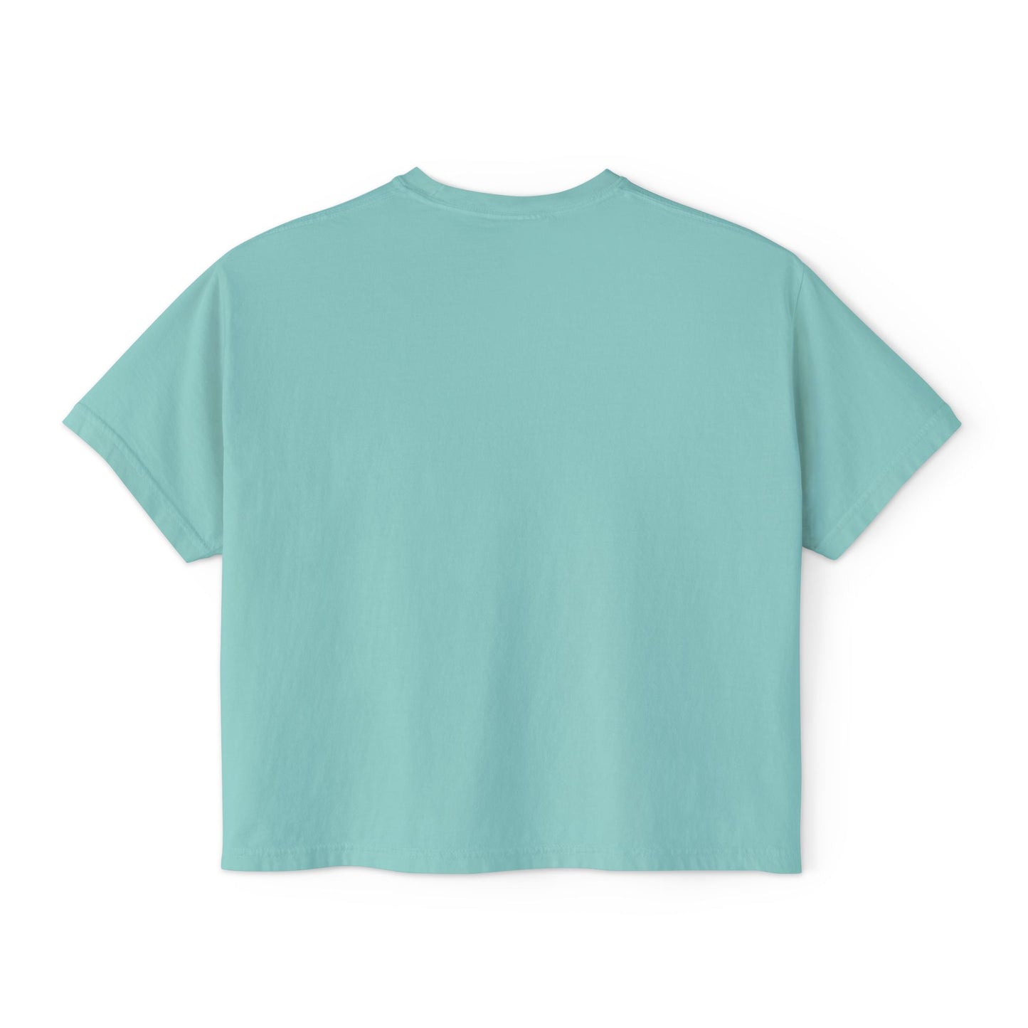 Philly Summit | Cropped Comfort Colors Tee