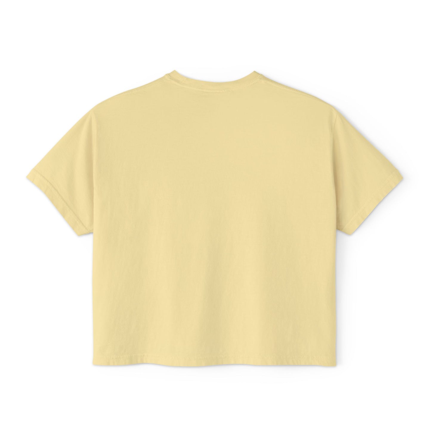 Philly Summit | Cropped Comfort Colors Tee